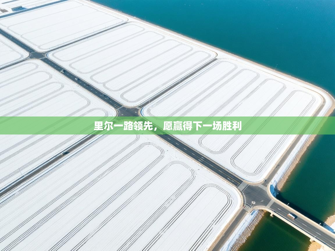 里尔一路领先,愿赢得下一场胜利 第1张