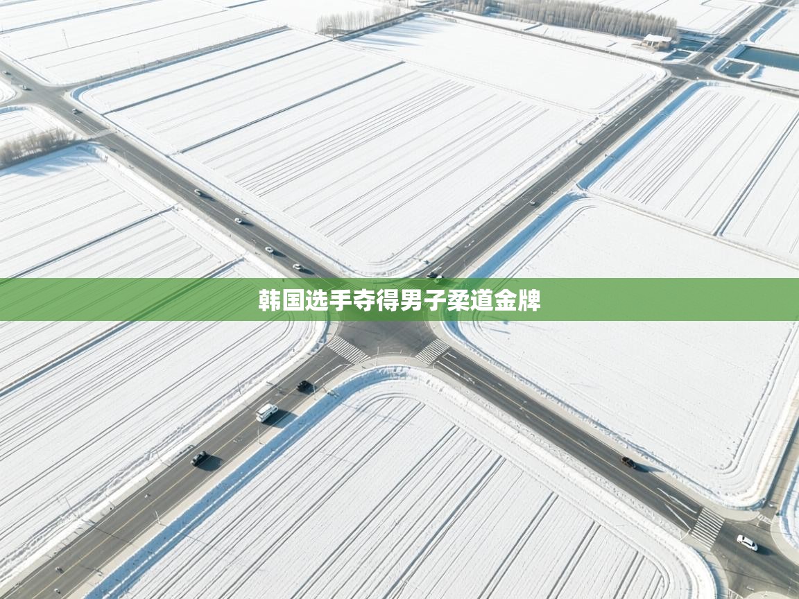 韩国选手夺得男子柔道金牌