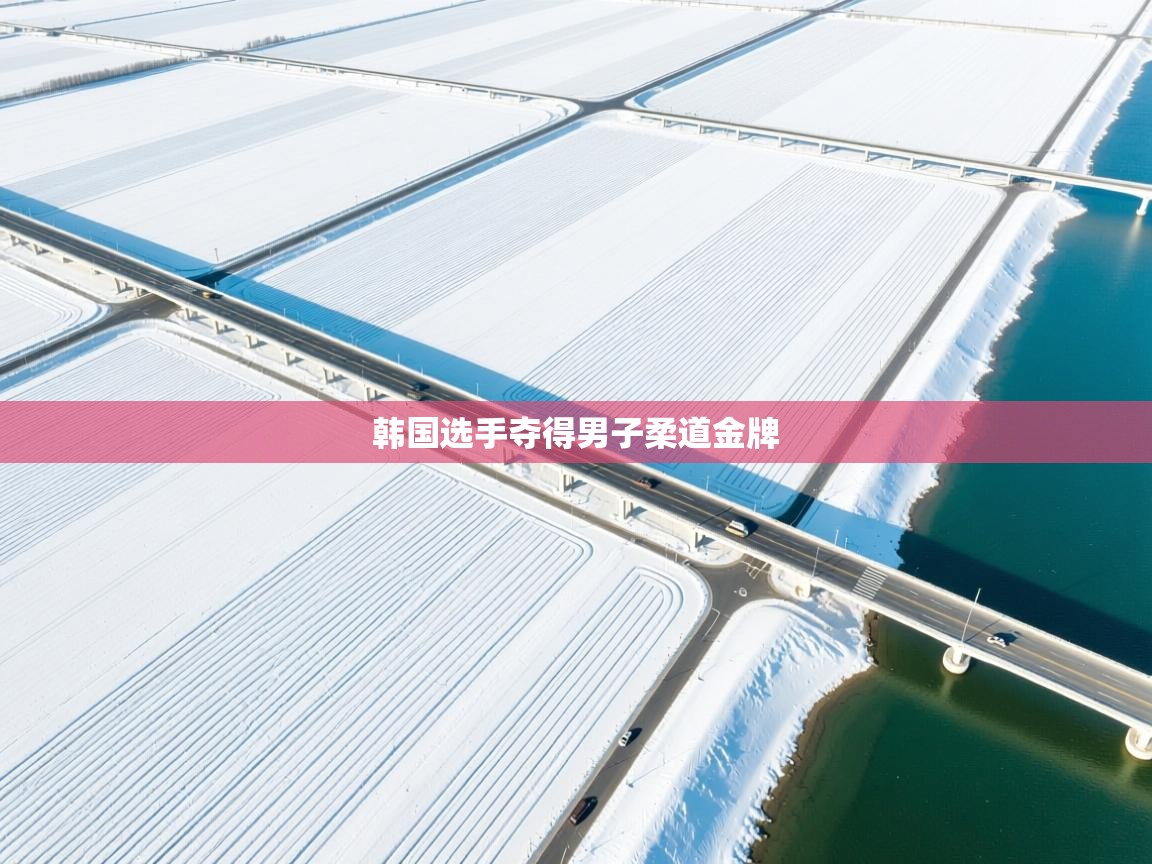 韩国选手夺得男子柔道金牌  第2张